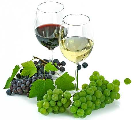 Welche Früchte zum Wein selber machen benutzen