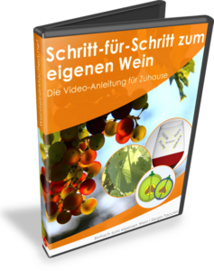 Videokurs zum Wein selber machen